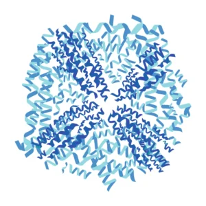 Illustration of DNA strands